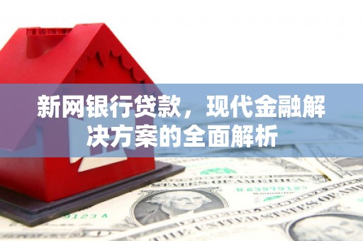 南丰新网银行贷款，现代金融解决方案的全面解析