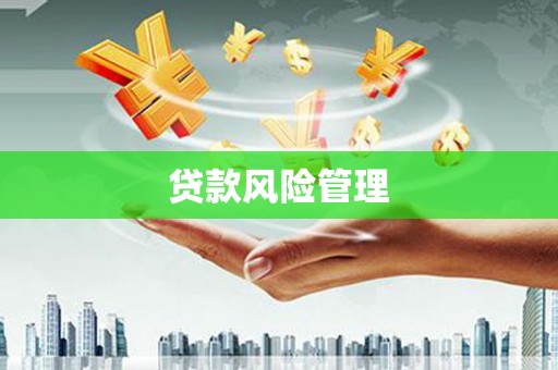长岭贷款风险管理