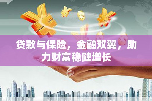 海兴贷款与保险，金融双翼，助力财富稳健增长