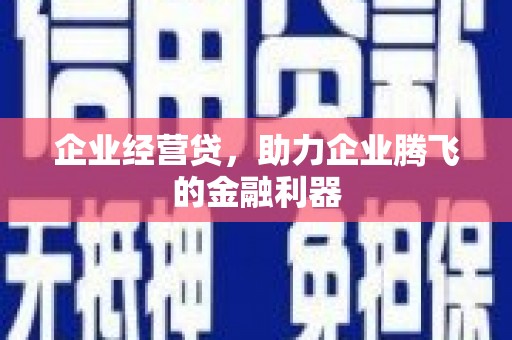 广南企业经营贷，助力企业腾飞的金融利器