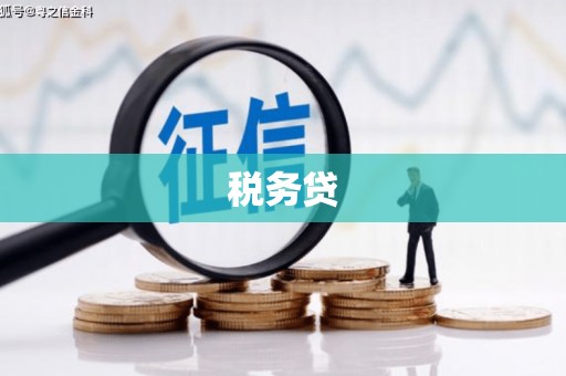 镇巴税务贷