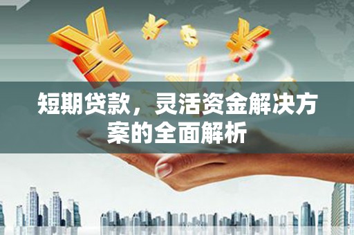横峰短期贷款，灵活资金解决方案的全面解析