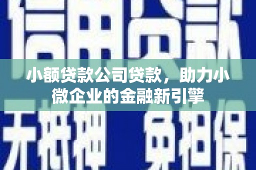 中和小额贷款公司贷款，助力小微企业的金融新引擎