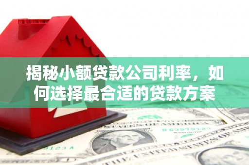 威远揭秘小额贷款公司利率，如何选择最合适的贷款方案