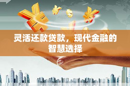 沿河灵活还款贷款，现代金融的智慧选择