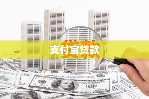 云安支付宝贷款