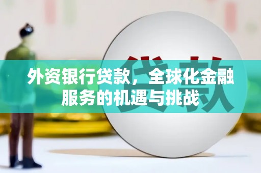 泰顺外资银行贷款，全球化金融服务的机遇与挑战