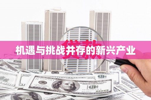 新营机遇与挑战并存的新兴产业