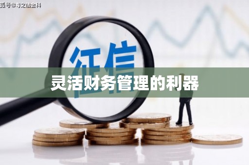 达孜灵活财务管理的利器