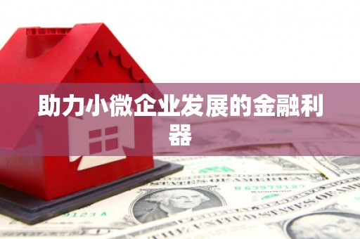 扶绥助力小微企业发展的金融利器