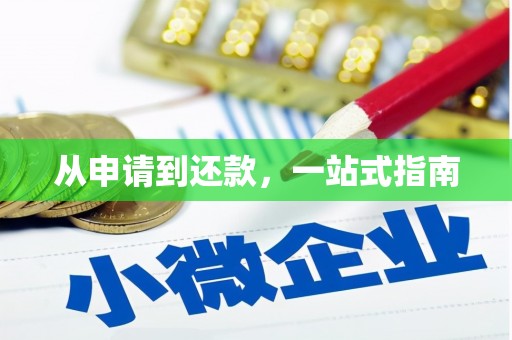 桑日从申请到还款，一站式指南