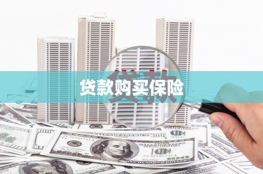 宝兴贷款购买保险