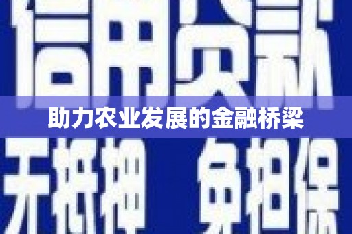 唐县助力农业发展的金融桥梁