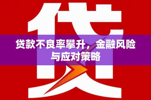 嵊泗贷款不良率攀升，金融风险与应对策略